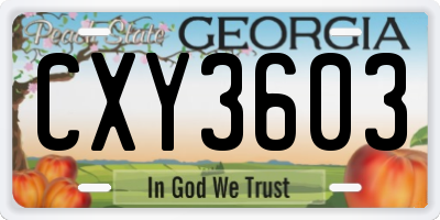 GA license plate CXY3603