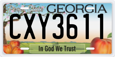 GA license plate CXY3611