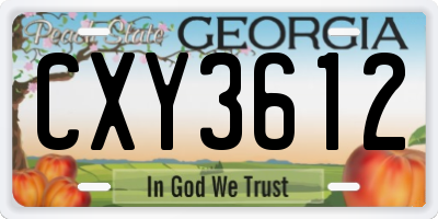 GA license plate CXY3612
