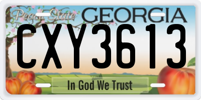 GA license plate CXY3613