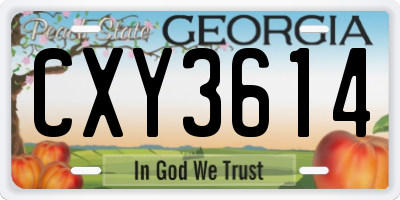GA license plate CXY3614