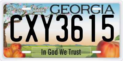 GA license plate CXY3615