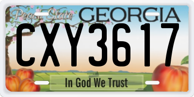 GA license plate CXY3617