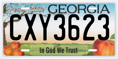 GA license plate CXY3623