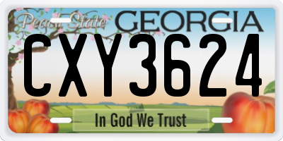GA license plate CXY3624