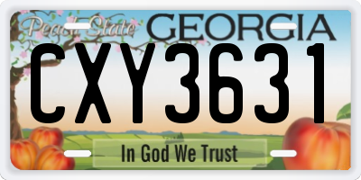 GA license plate CXY3631