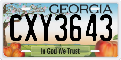 GA license plate CXY3643