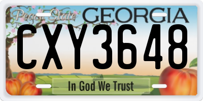 GA license plate CXY3648
