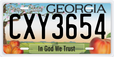 GA license plate CXY3654