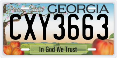GA license plate CXY3663