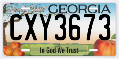 GA license plate CXY3673