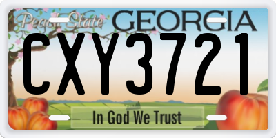 GA license plate CXY3721