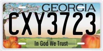 GA license plate CXY3723