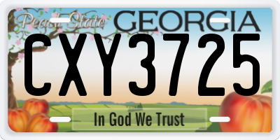 GA license plate CXY3725