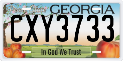 GA license plate CXY3733