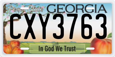 GA license plate CXY3763