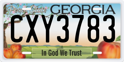 GA license plate CXY3783
