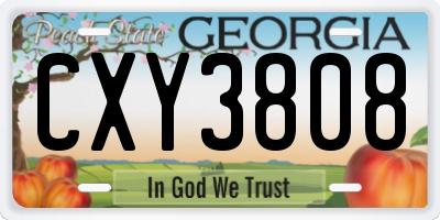GA license plate CXY3808