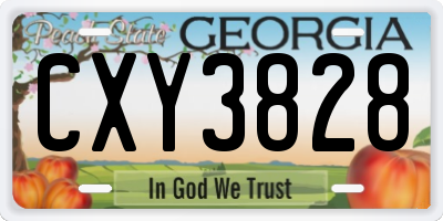 GA license plate CXY3828