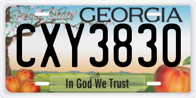 GA license plate CXY3830