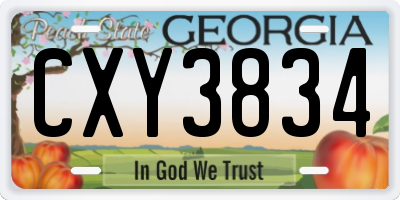 GA license plate CXY3834