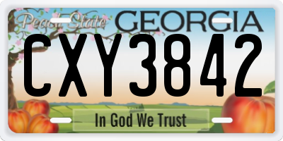 GA license plate CXY3842