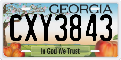 GA license plate CXY3843