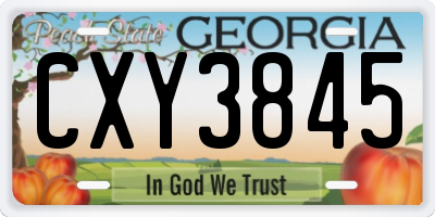 GA license plate CXY3845