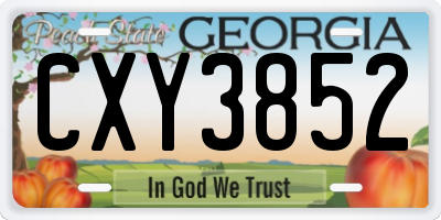 GA license plate CXY3852