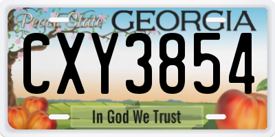 GA license plate CXY3854