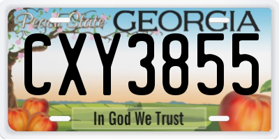 GA license plate CXY3855