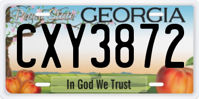 GA license plate CXY3872