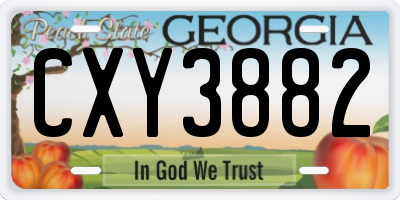 GA license plate CXY3882