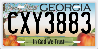 GA license plate CXY3883