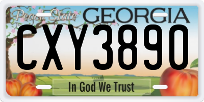 GA license plate CXY3890