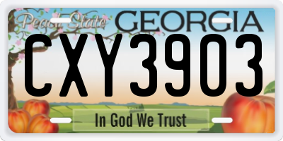 GA license plate CXY3903