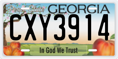 GA license plate CXY3914
