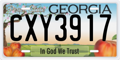 GA license plate CXY3917