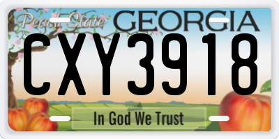 GA license plate CXY3918