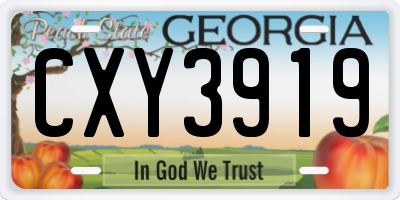 GA license plate CXY3919