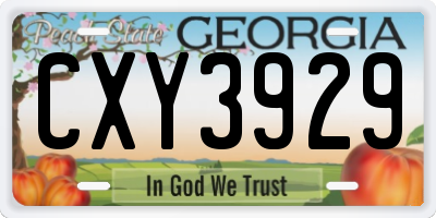 GA license plate CXY3929