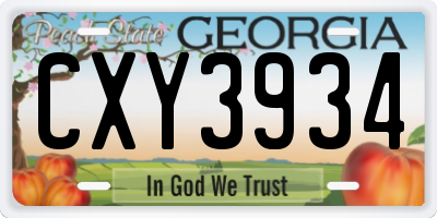 GA license plate CXY3934