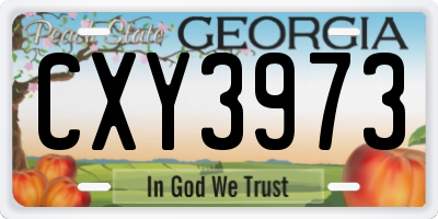 GA license plate CXY3973
