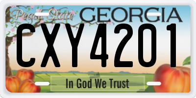 GA license plate CXY4201