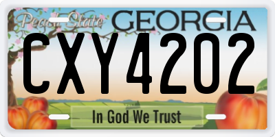 GA license plate CXY4202