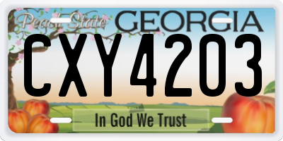 GA license plate CXY4203