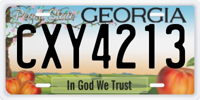 GA license plate CXY4213
