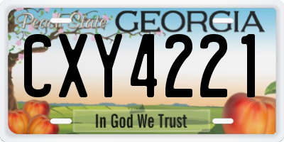 GA license plate CXY4221