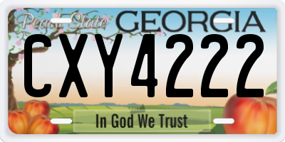 GA license plate CXY4222