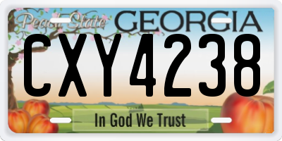 GA license plate CXY4238